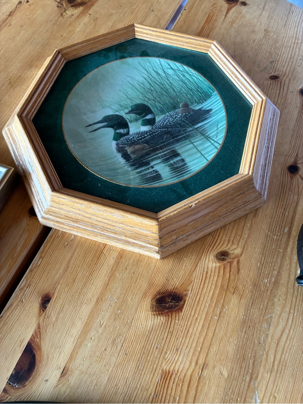 Octagonal Wood-Framed Loon Wall Art - Green